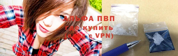 apvp Алзамай