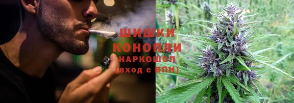 apvp Алзамай