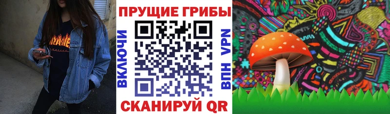 Псилоцибиновые грибы прущие грибы  Николаевск 